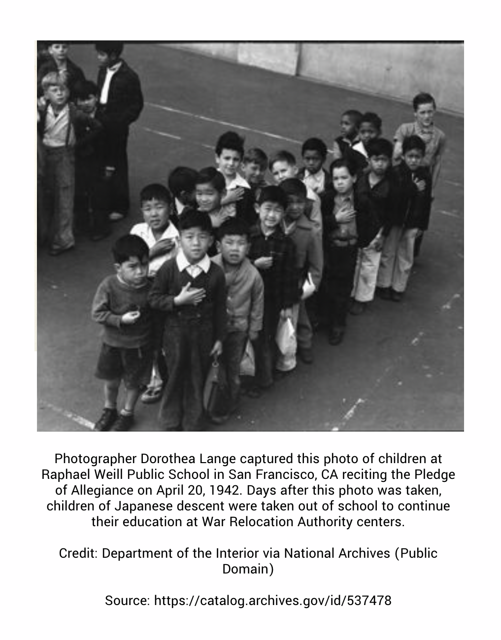 /images/2_1_2/2.1.2 Search Image.png